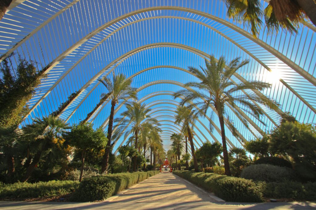 pexels-photo-14419185-14419185-1 Explore the stunning arches and lush gardens of L’Umbracle in Valencia.